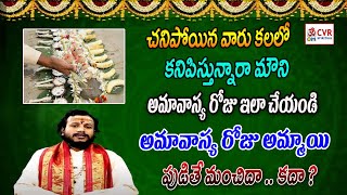 చనిపోయిన వారు కలలో కనిపిస్తున్నారా మౌని అమావాస్య రోజు ఇలా చేయండి |  Dharma Sandehalu | OM CVR