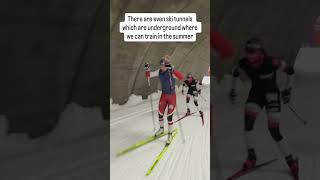 What is Cross Country (Nordic) Skiing? #skiing #crosscountryskiing #nordic #crosscountry #nordicski