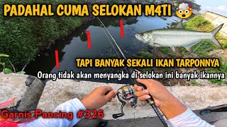 INI RAHASIA😱‼️SIAPA SANGKA SPOT SEPERTI INI BANYAK SEKALI IKAN TARPONNYA‼️Jogjakarta Punya Tarpon