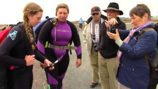 The Abalone Hunter dives Glass Beach