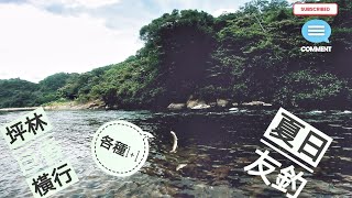 釣魚狂人4K 坪林香魚，神秘紅貓香魚釣獲，巨鮎到屏氣凝神全灌注《全旁白》，溪水無情多留心 Stream Fishing Taiwan