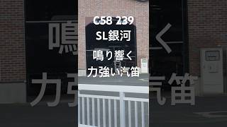 【C58 239】SL銀河 時報と鳴り響く汽笛の迫力