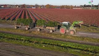 Collecting plants from the field | EuroTree | Fendt