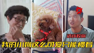 訓犬師痛批主人太過溺愛，把狗慣成了窩裡橫，主人卻說太可愛了沒辦法