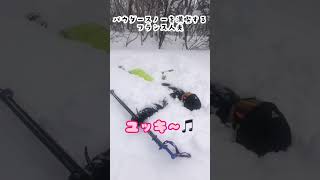 初の北海道のパウダースノウを満喫するフランス人⛷