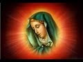 Sunday Law News Report - Hail Mary