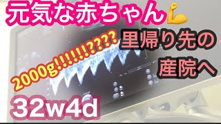 【32w4d】2000gまで成長したか！！？❤️ベビちゃんすくすく育ってます🤰🤰