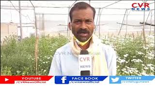 పాలీహౌస్ లో  చామంతి సాగు.. | Farmer Success Story | Chamanthi Cultivation In Poluhouse | CVR