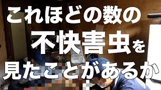 推定2,000匹超！？ゴキブリが大量発生しているゴミ屋敷を片付けていく！