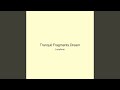 Tranquil Fragments Dream