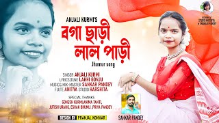 Boga Saree Laal Padi || Anjali Kurmi New Jhumur Song 2023