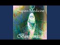 Norepinephrine
