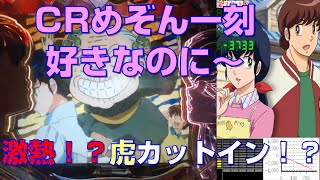 パチンコ実機　CRめぞん一刻 すきなのに～　1/392