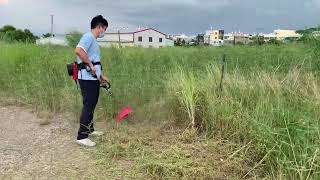 感受無刷馬刷電動割草機的威力，一揮即光，一分除盡