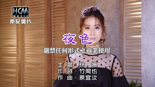 林姍-夜色【KTV導唱字幕】1080p HD