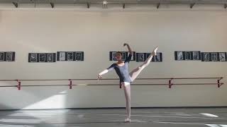 Camille Rene-Waterhouse - Audition video 2022