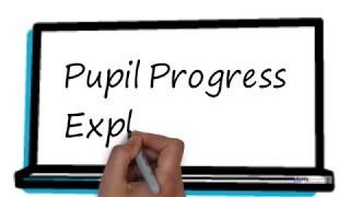 Explained: Progress Within A Lesson