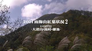 雨飾山2021紅葉の状況２大渚山･湯峠