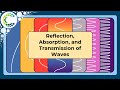 Reflection, Absorption, and Transmission of Waves