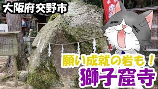 願い成就の岩✨【大阪府交野市　獅子窟寺境内】をお散歩ニャ❗️★ 8月のおさんぽ　Wish Fulfillment Rock in Japan - Katano City　#散歩　＃さんぽ　＃景色