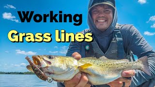 Lowcountry inshore fishing for Redfish and Speckled Trout!