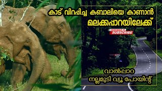 കബാലിയെ കാണാൻ മലക്കപ്പാറയിലേക്ക് | Malakkappara Valparai Road Trip | #travelwithneermathalam