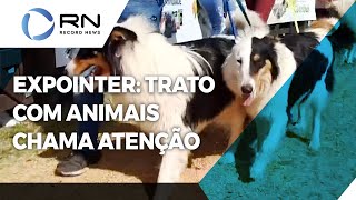 Expointer 2022: trato com animais chama atenção dos visitantes