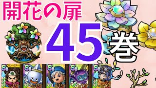 【ドラクエタクト】開花の扉 第45巻 攻略！！【#ドラクエタクト​/#ドラゴンクエストタクト​/#才能開花/#DQTact​/#DQT/#DQタクト】