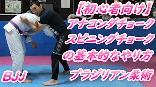 【初心者向け】アナコンダチョーク スピニングチョークの基本的なやり方  Anaconda Choke spinning choke