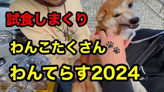 わんてらす2024にいってきたよ