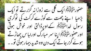 Hazrat Muhammad SAW ka Husn e salook || Gand painkny wali Burya ka waqia || Moral Story