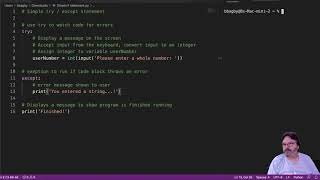 Try Except Statement Python