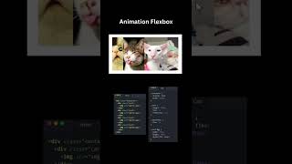 Animation Flexbox #html #css #htmlcsstutorial #flex #box #animation