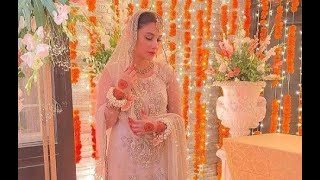 Agha Ali Hina Altaf Wedding Pics