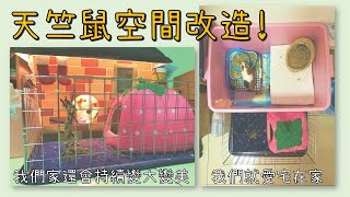 【Fatbe Diary】天竺鼠空間大改造(第二集) Redecorate Guinea Pig's room2