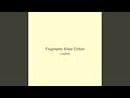 Fragments Silver Ember