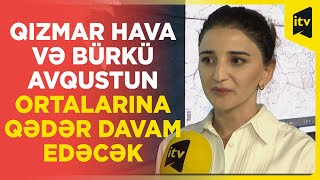 Qızmar hava və bürkü avqustun ortalarına qədər davam edəcək