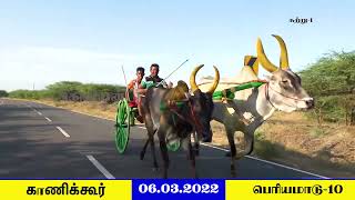 காணிக்கூர் பெரிய மாட்டு வண்டி பந்தயம் :இராமநாதபுரம் மாவட்டம்