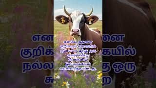 Palamoli| Tamil Palamoligal|Meaning of Palamoli| தமிழ் பழமொழிகள்’ பழமொழி அர்த்தம்