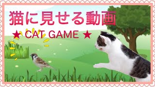 【猫が喜ぶ映像・鳥。猫が寄ってくる音】CAT GAMES ‐ Videos for Cats to Watch