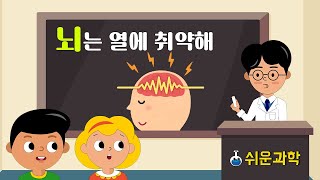 [쉬운과학] 뇌는 열에 취약해!