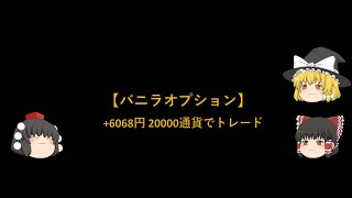 【バニラオプション】【FXオプション】１月取引 +6068　(20000通貨)