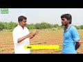 తీగ పెసర సాగు బాగుంది రైతు రమేష్ green gram cultivation రైతు బడి