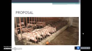 Automatic Pig Feeder (Gladys Morales)