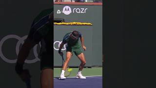 Dimitrov Hits Front-Facing Tweener vs Medvedev 🌭