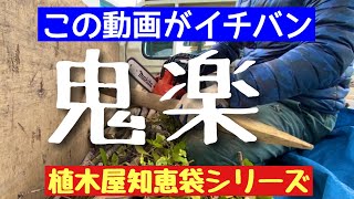 楽々チェンソー【充電式チェンソー】便利さ一目瞭然【マキタチェンソー】