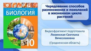 Тема 27. Чередование способов размножения и поколений в жизненном цикле растений