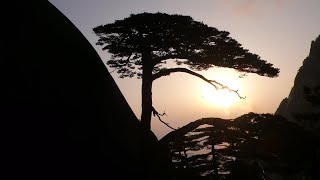 黃山之旅：玉屏日出、雲海，玉屏索道