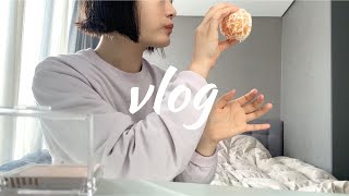 vlog) 얼렁뚱땅 제주도에 가게 된 J인간의 무계획 일상, 그리고 즉흥 숏단발.. 💇🏻‍♀️