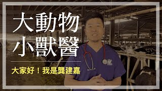 大動物醫生的熱血日常——《大動物小獸醫：做牛做馬的出診人生》